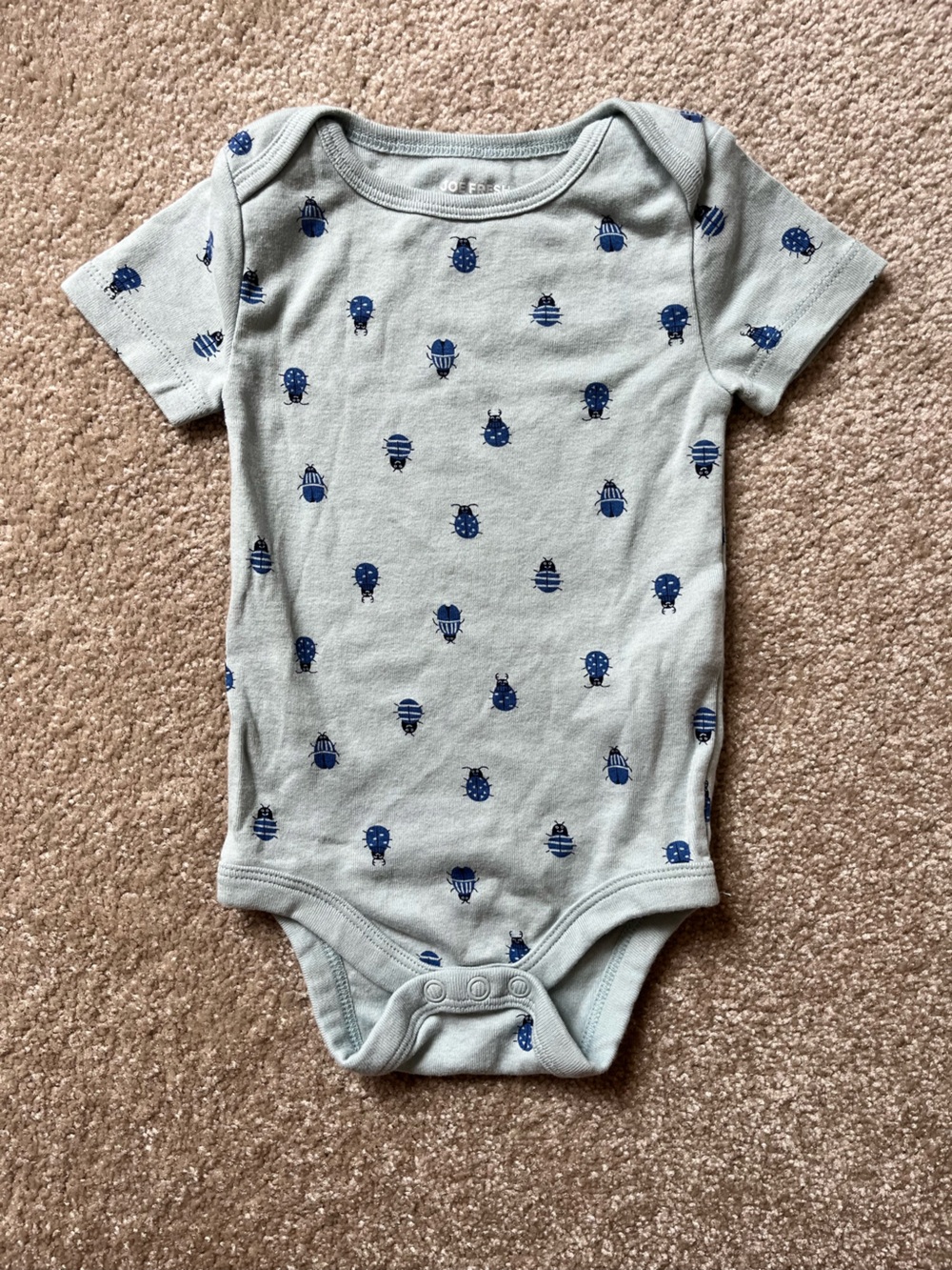 3/$10 or 5/$15 Bug Print Onesie